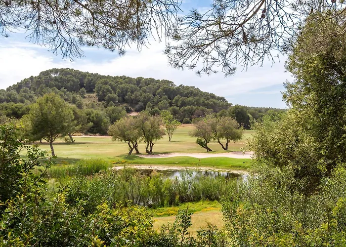 Dos Geckos - ソン・パルク